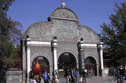 Beijing Zoo 