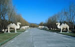Beijing Great Wall + Ming Tombs Day Tour