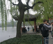 桂林一地多日豪華私人旅遊