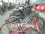 Beijing Customized Bike Tour