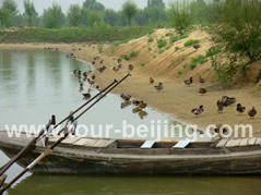 Beijing Bird Watching Day Tour