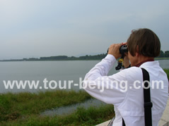 Beijing Bird Watching Day Tour