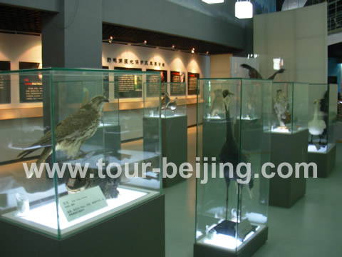 Yeyahu Wetland Museum