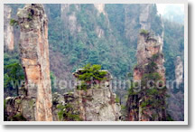 Discover China Tour