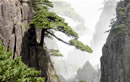 Huangshan Tours