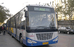 Public Buses