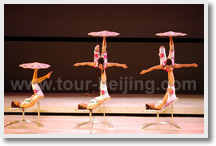 Beijing Acrobatics Night Show Bus Tour