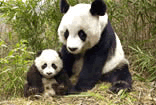 Beijing Zoo