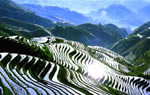 Longji Terraced Field in Guilin
