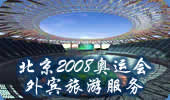 ����2008���˻�������η���