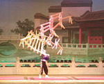 Shanghai Acrobatics