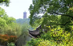 1 Day Shanghai - Wuxi Private Tour