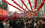 Beijing Spring Festival One Day Tour